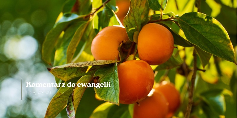 Komentarz do Ewangelii - 12 września 2026