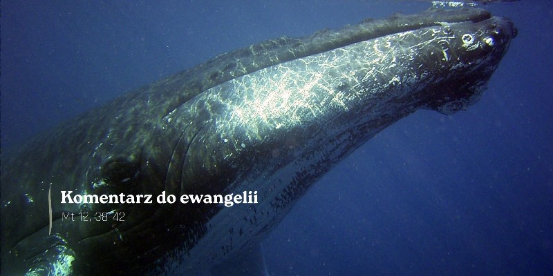 Komentarz do Ewangelii - 20 lipca 2026