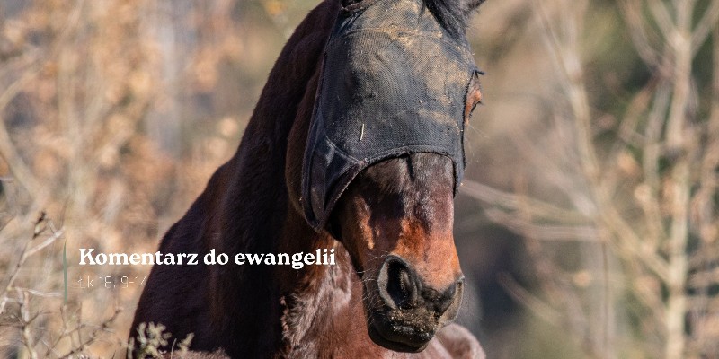 Komentarz do Ewangelii - 14 marca 2026