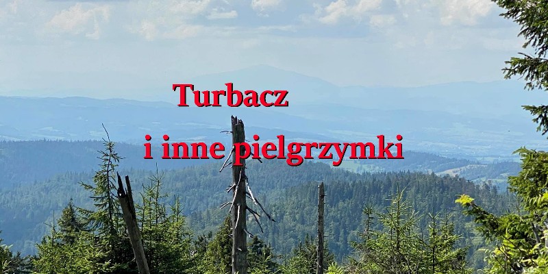 Turbacz 2020