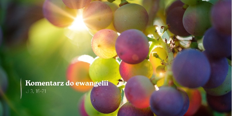 Komentarz do Ewangelii - 15 kwietnia 2026