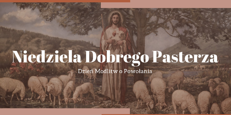 Niedziela Dobrego Pasterza