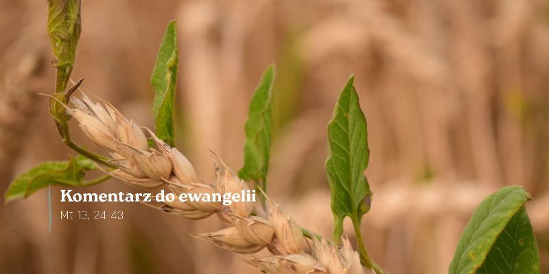 Komentarz do Ewangelii - 19 lipca 2026