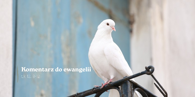 Komentarz do Ewangelii - 17 października 2026