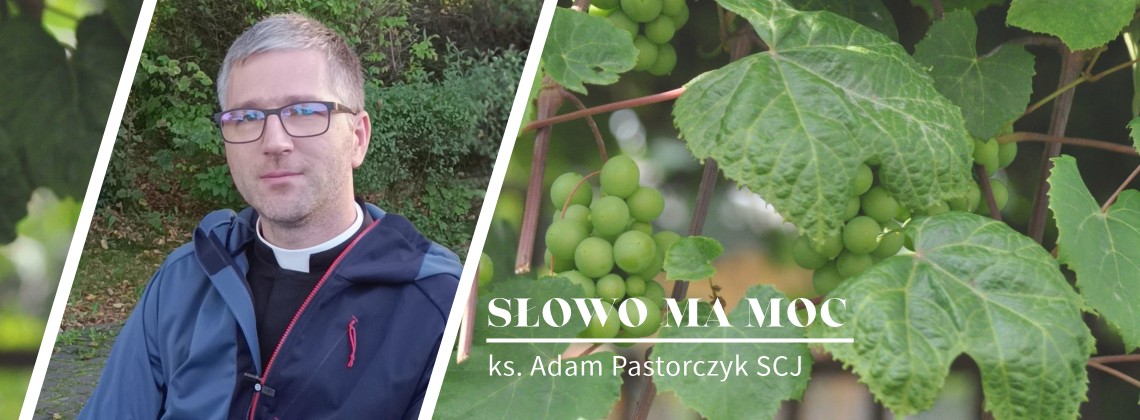 Słowo Ma Moc - rozważanie Ewangelii, XXVI niedziela zwykła