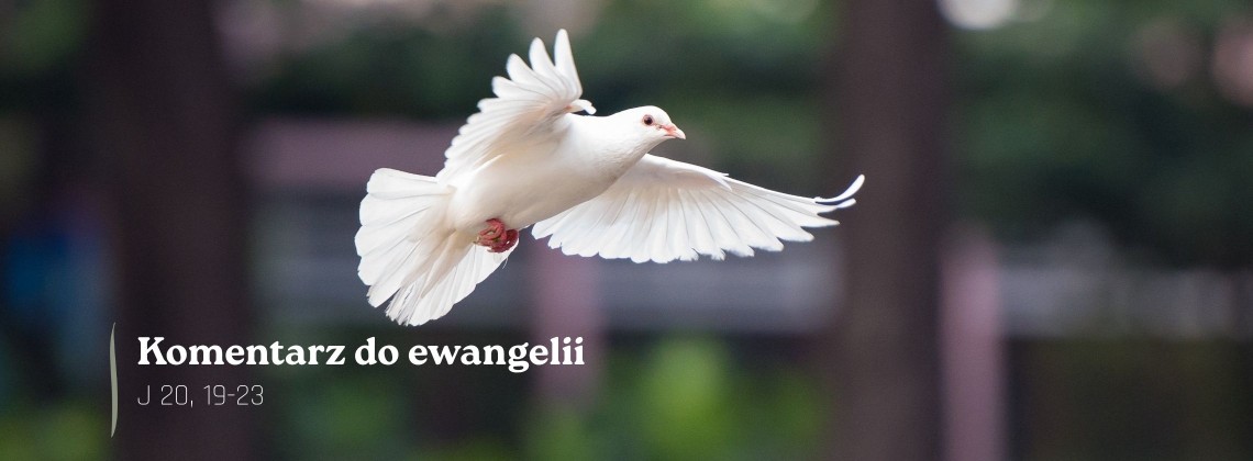Komentarz do Ewangelii - 24 maja 2026