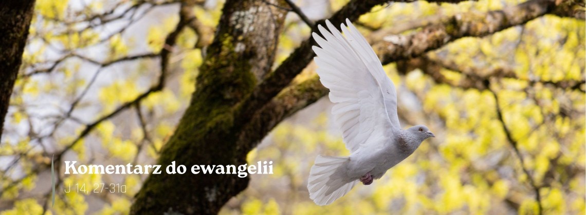 Komentarz do Ewangelii - 5 maja 2026