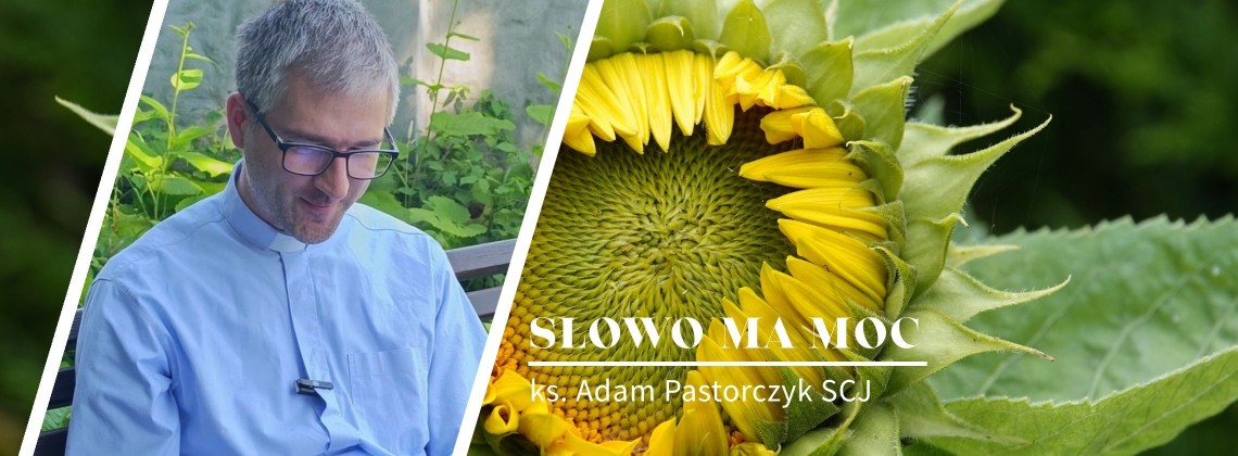 Słowo Ma Moc - rozważanie Ewangelii, XVI niedziela zwykła